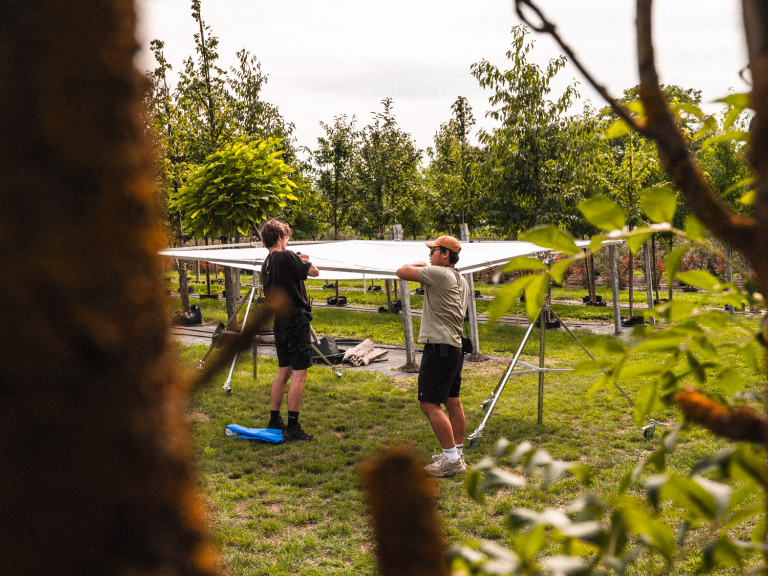 Behind the Scenes of Generation Forest