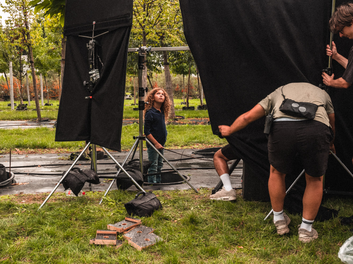 Behind the Scenes of Generation Forest