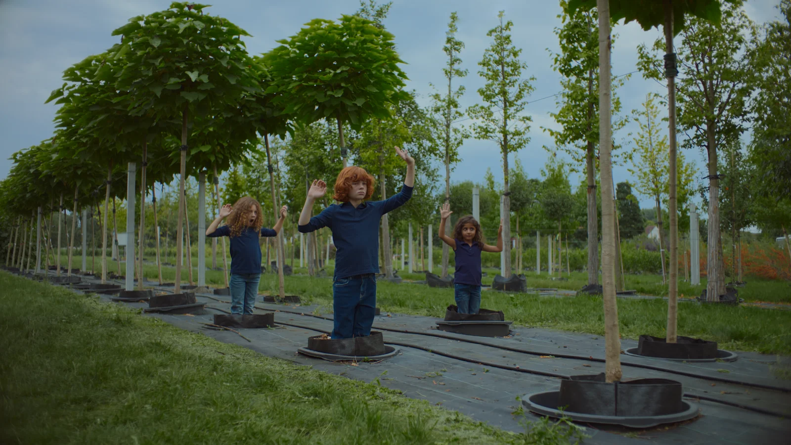 Children posing as trees
