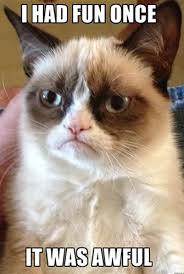 Picture of a sad cat